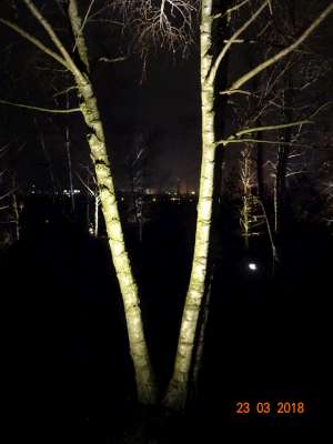 Lichtinstallation Baum