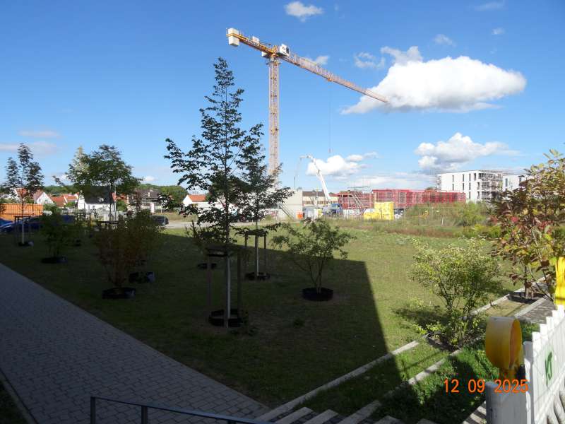 Bild 11: Grünterrassen