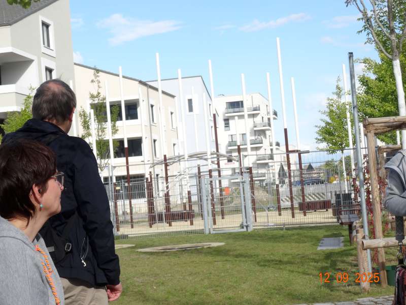 Bild 14: Kunstobjekt als Reminiszenz an Eichen